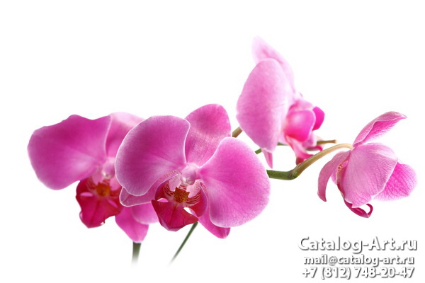 Натяжные потолки с фотопечатью - Розовые орхидеи 67